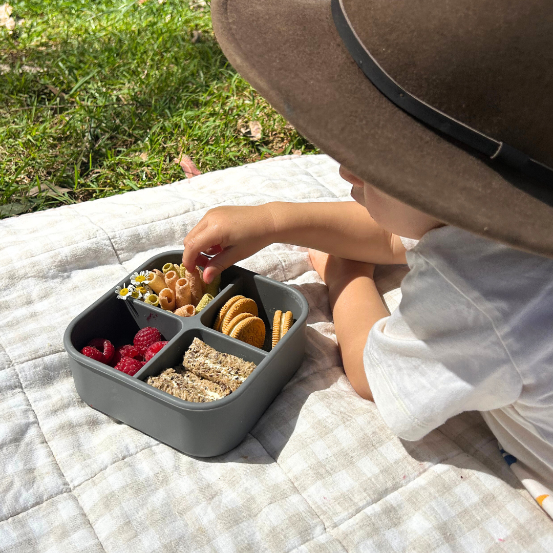 Charcoal Bento Snack Box