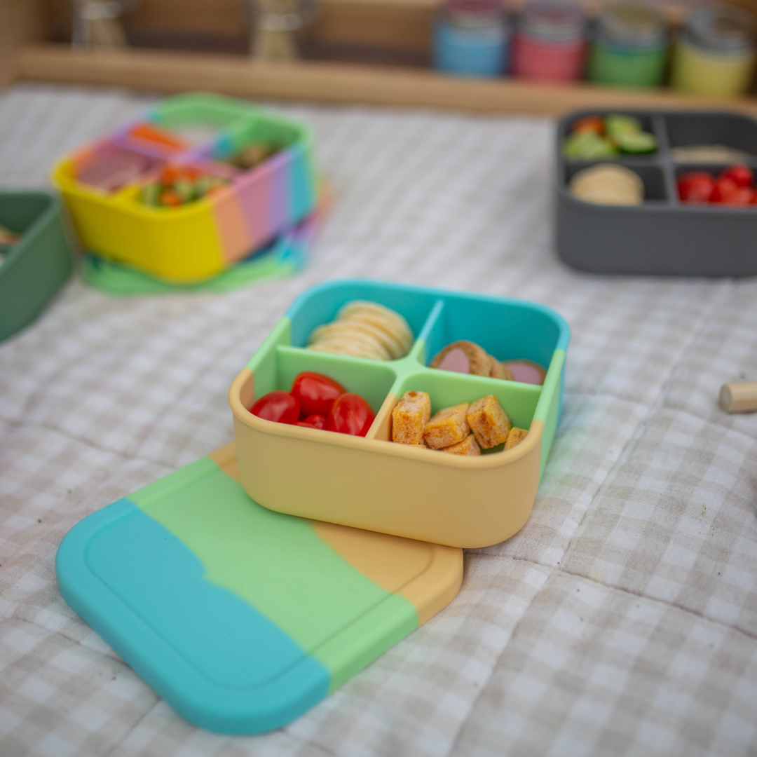 Splice Bento Snack Box