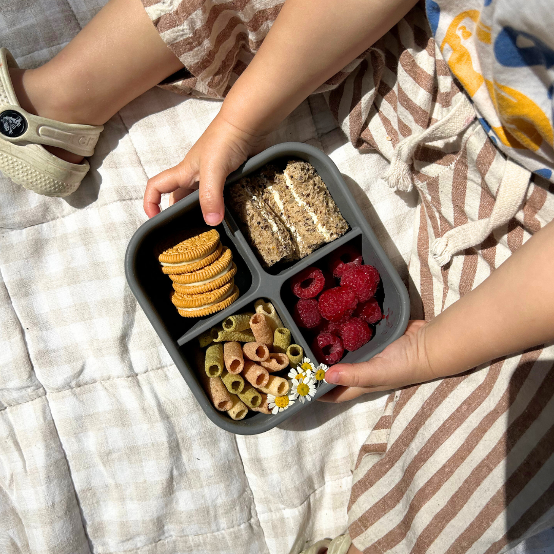 Charcoal Bento Snack Box