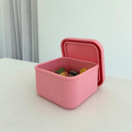 Watermelon Snack Container