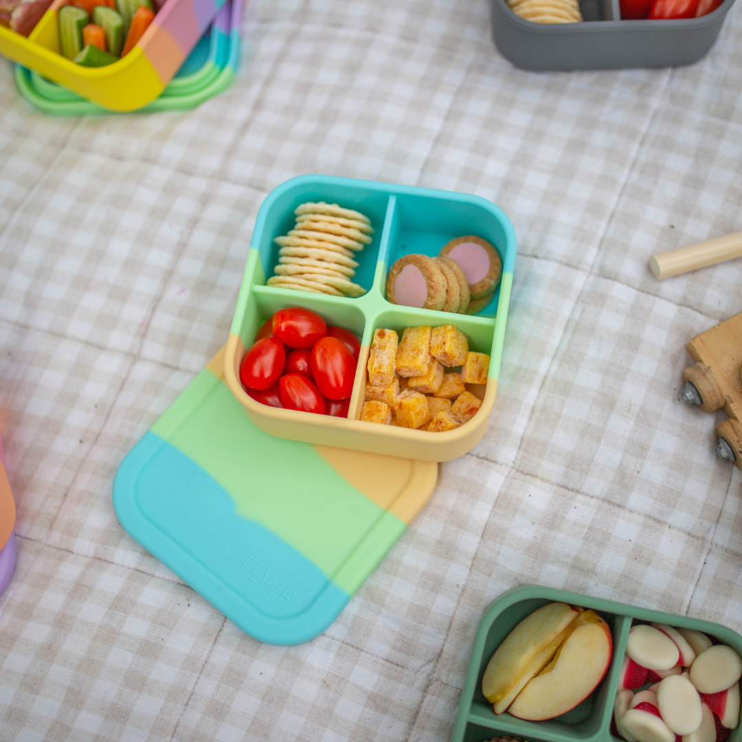 Splice Bento Snack Box