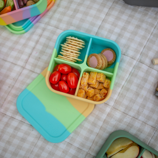 Splice Bento Snack Box