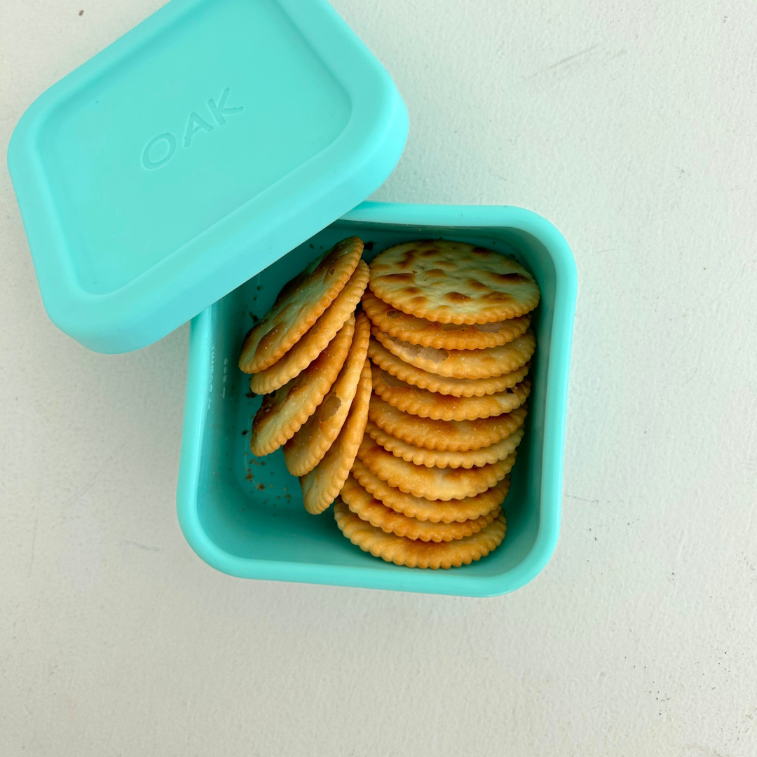 Aqua Snack Container