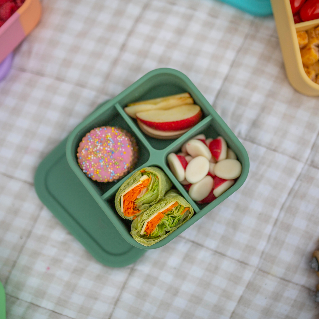 Sage Bento Snack Box