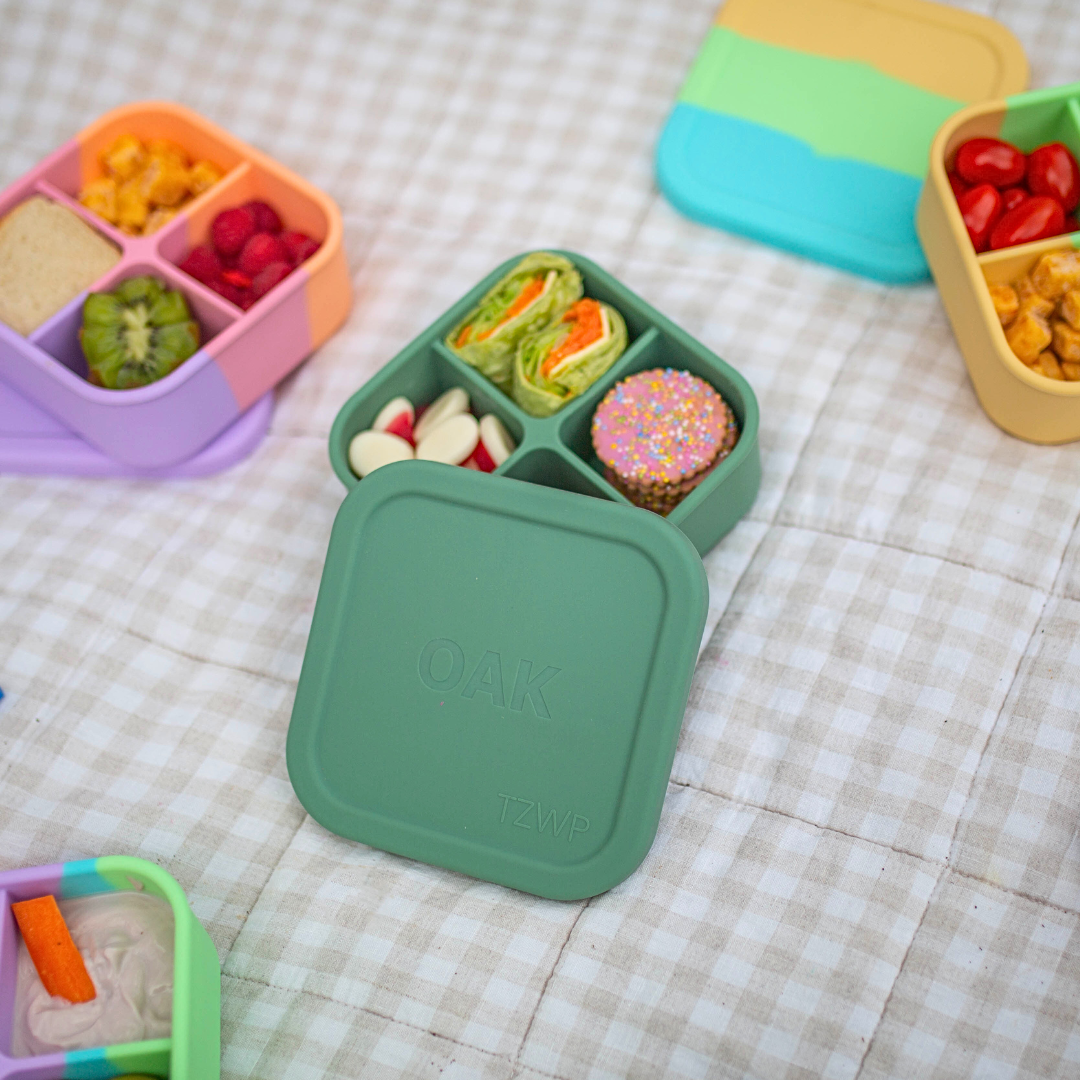 Sage Bento Snack Box