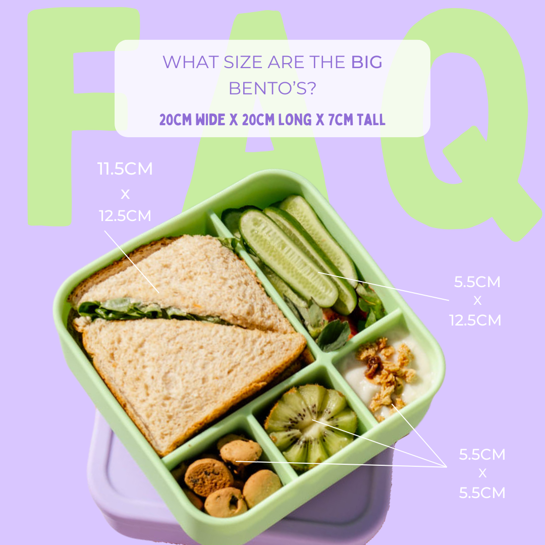 Charcoal BIG Bento Lunchbox