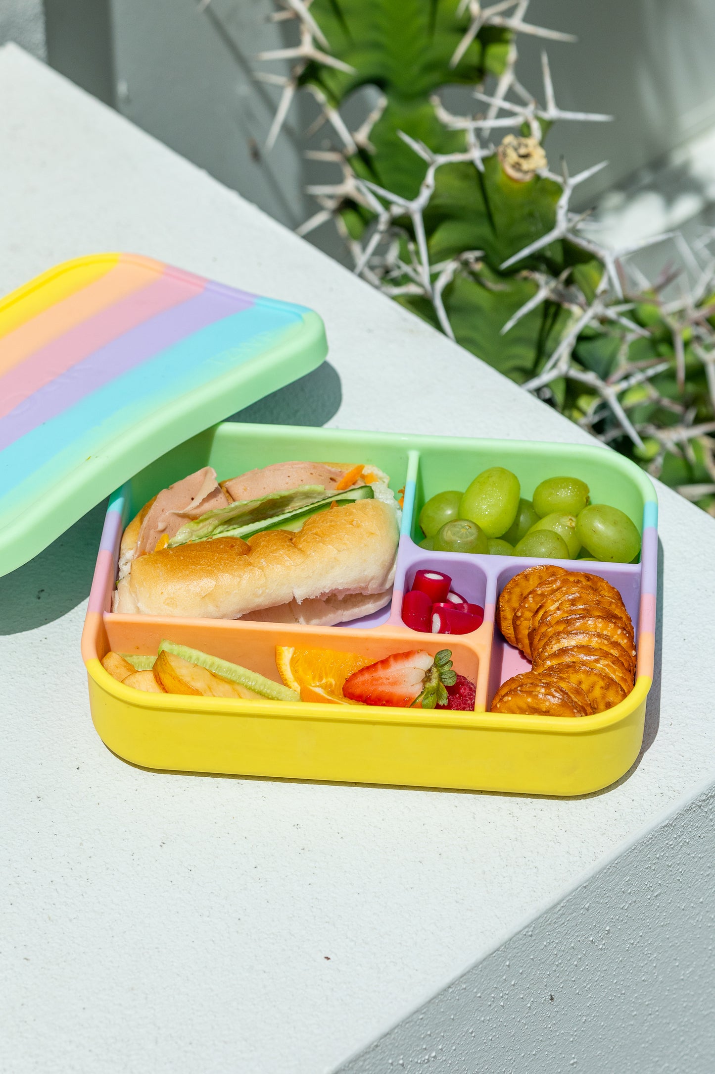 Rainbow Bento Lunchbox