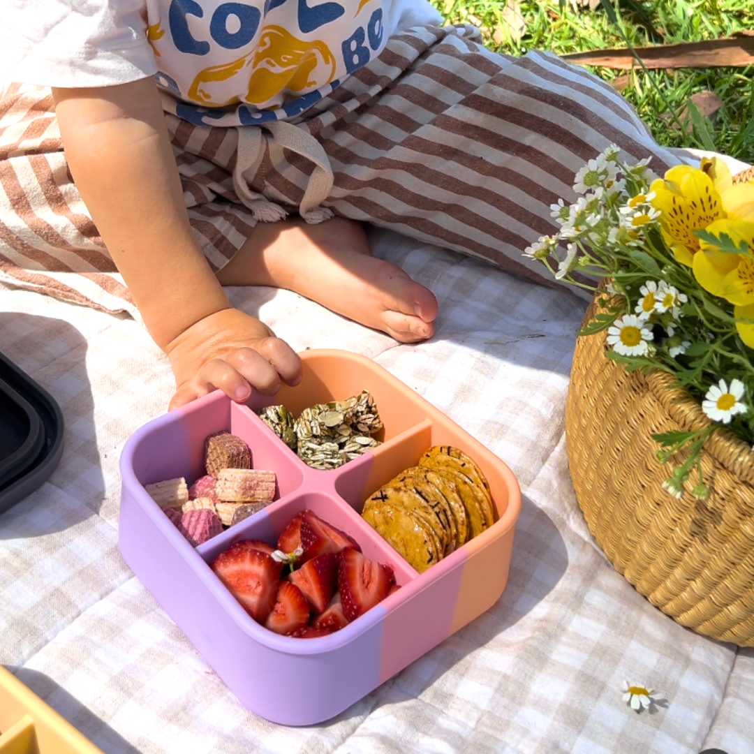 Paddle Pop Bento Snack Box