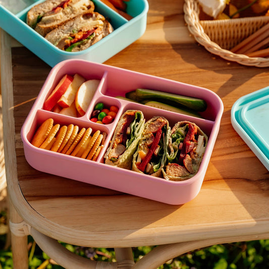 Set 2 ZERO WASTE Food Containers Bento Boxes Silicone Lunch